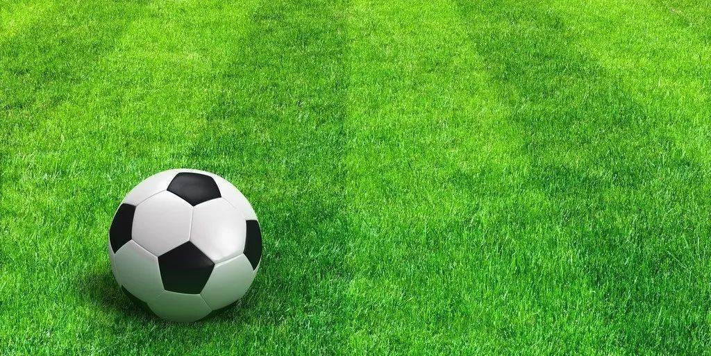 足球预测分析推荐app下载指南